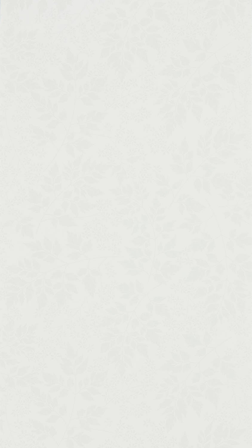 Sanderson - Spring Leaves Dove Country Woodland Wallcove