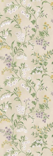 Nina Campbell - Almora Nc Signature Almora Lilac