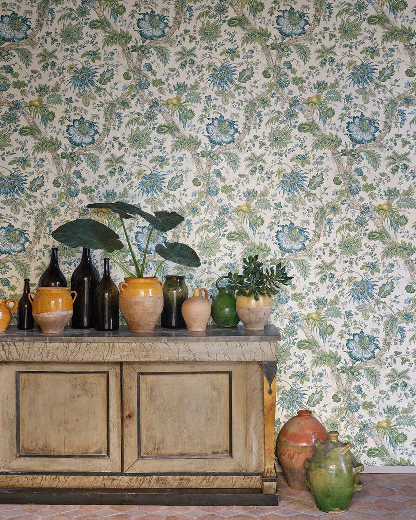 Manuel Canovas - Adelaide WC Celadon