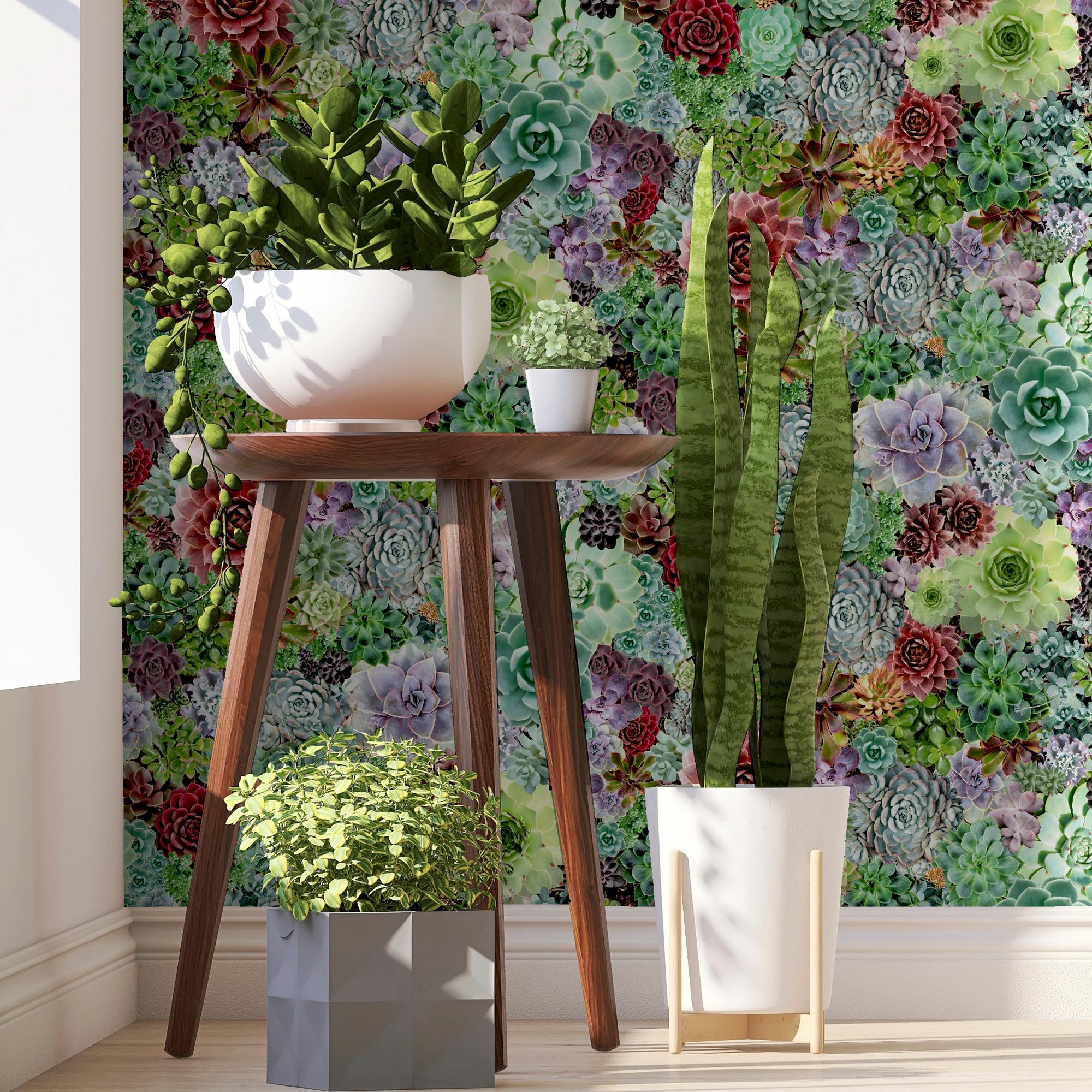 Succulent Living Wall Multi
