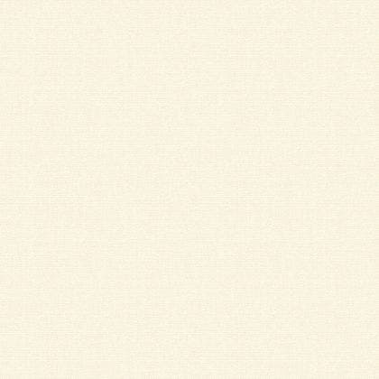 CANEVAS UNI CRAIE SO COLOR 5