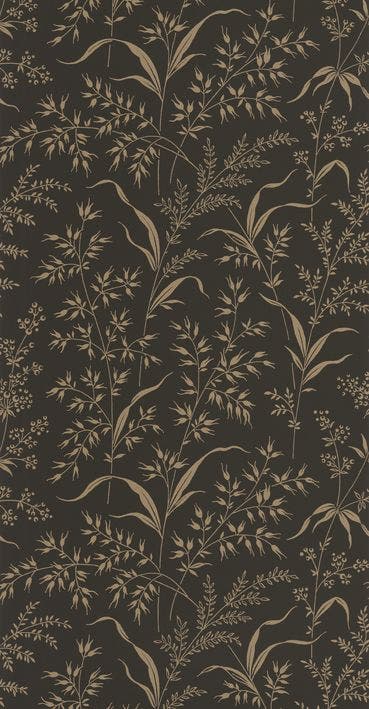 GRASS FIELD TABAC / ARDOI SOLIFLORE