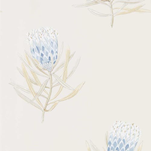 Sanderson - Protea Flower China Blue/Canvas