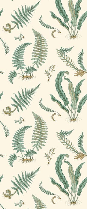 GP&J Baker - Original Ferns Verdigris BW45122-4