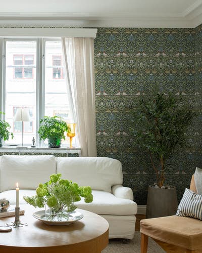 Midbec Tapeter - Bird