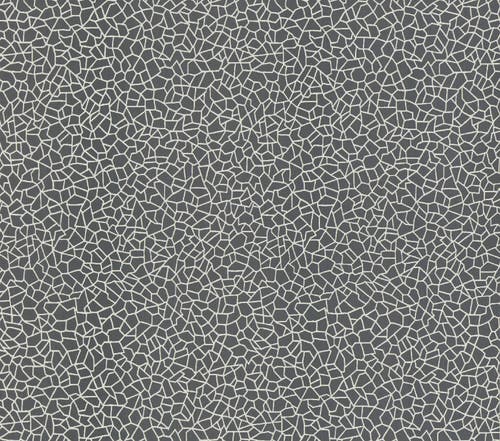 Carma - Kew Foil, NW Rosemore