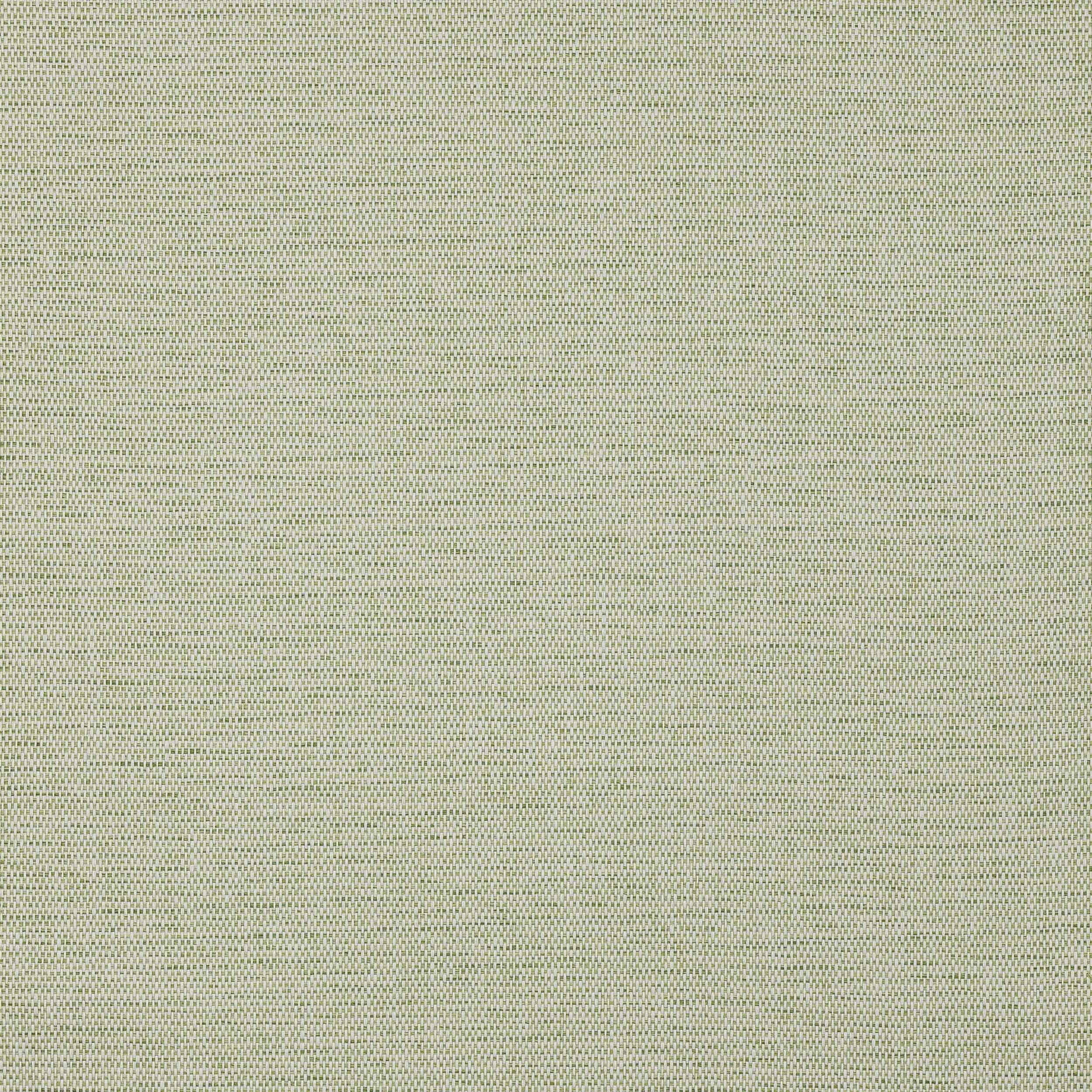 Colefax and Fowler - Mecox Fern