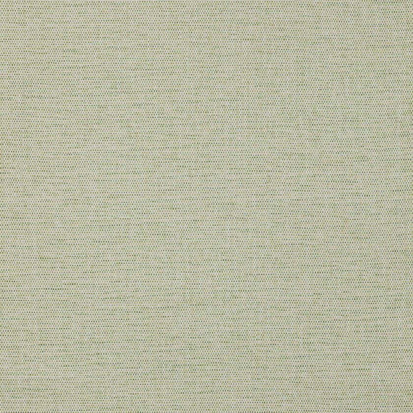 Colefax and Fowler - Mecox Fern