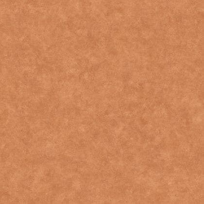 Caselio - Beton Uni Acajou Beton 2