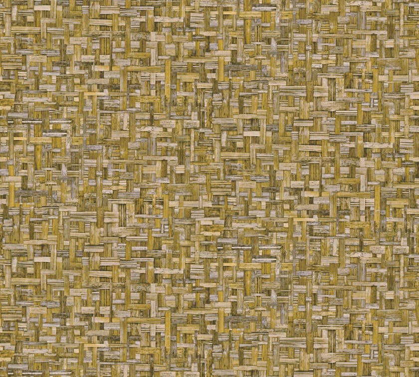 Intrade - Jungle Chic