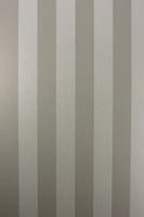 STRIPE METALLICO VINYLS STRIPE S