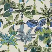 Manuel Canovas - Florida Marine