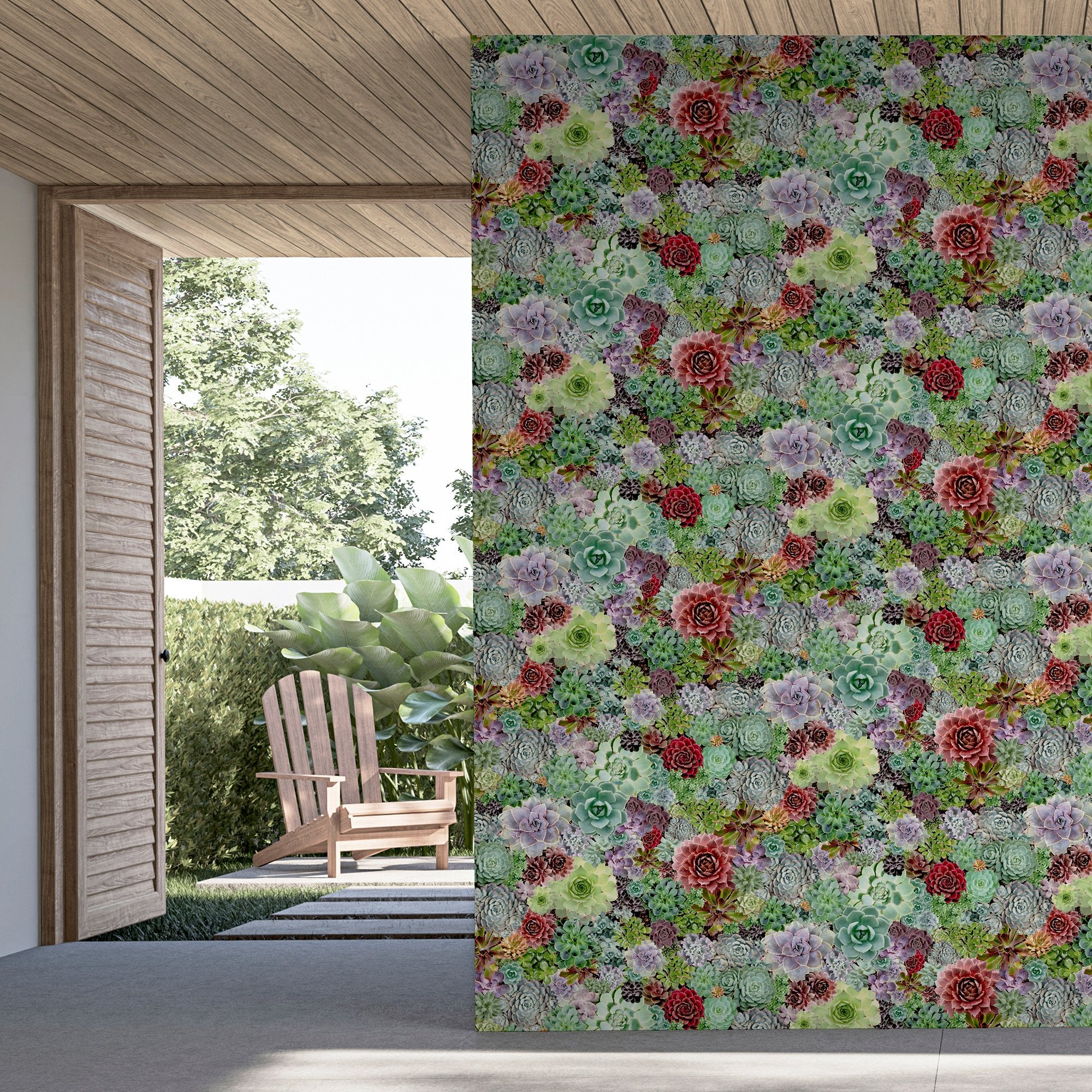 Succulent Living Wall Multi
