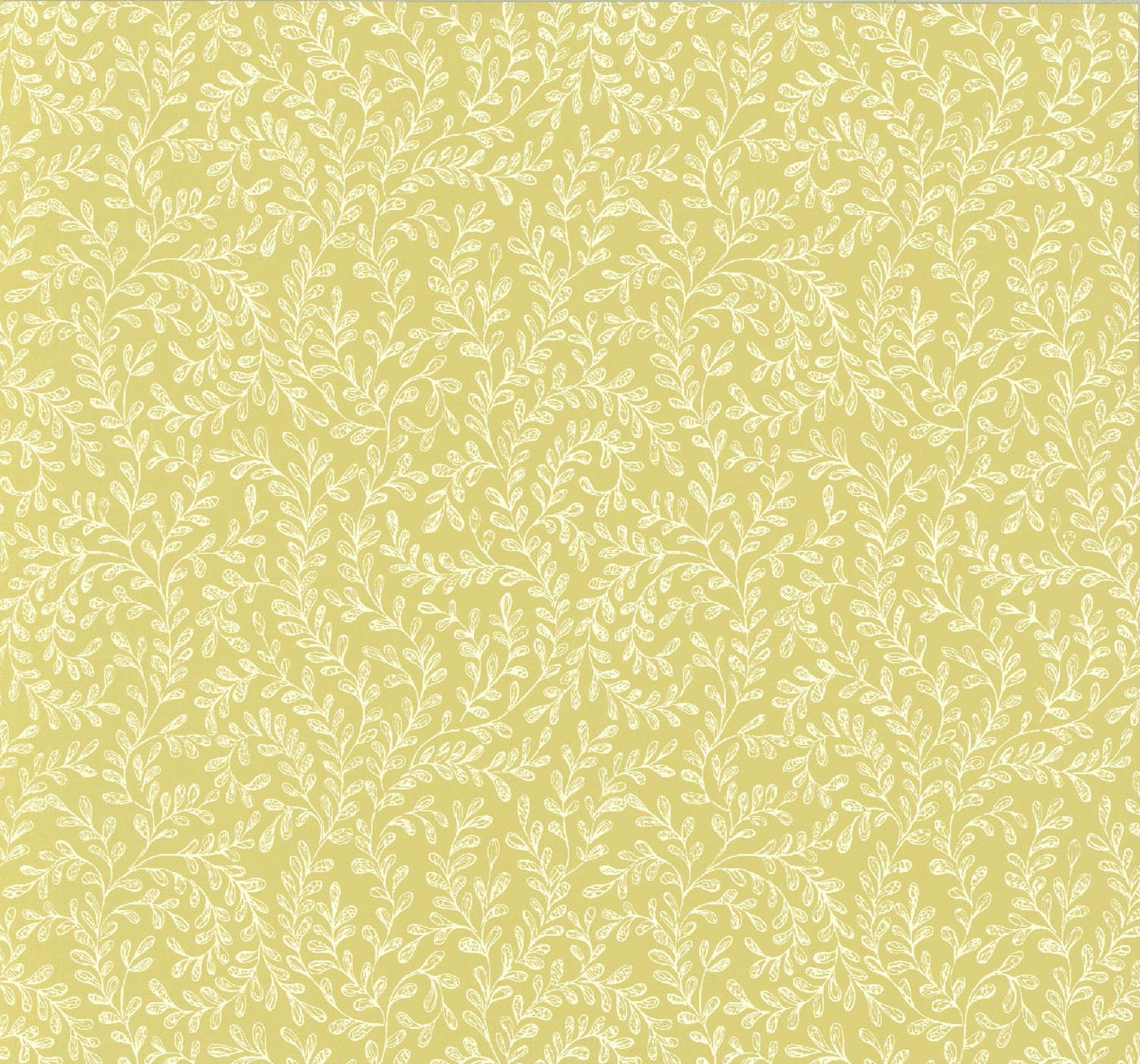 Carma - Audley, NW Rosemore