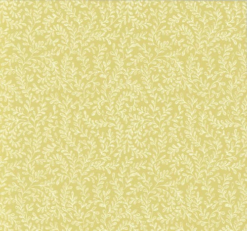 Carma - Audley, NW Rosemore