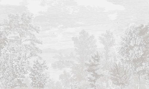 Boråstapeter - Etched Landscape