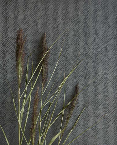 Eijffinger Intrade - Waterfront