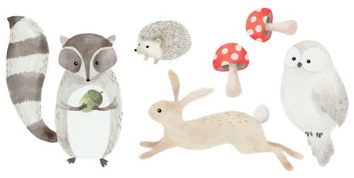 Casadeco - Decor Pre-Encolle Animals Once Upon A Time