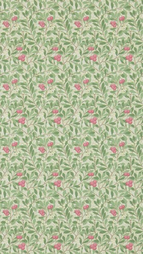 Morris & Co - Arbutus Olive/Pink Morris and Friends Wallpa