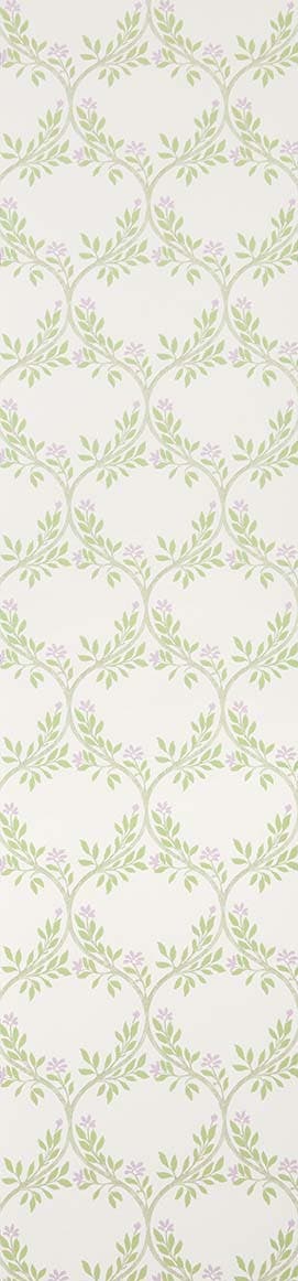 ARBER NC SIGNATURE ARBER SAGE/L