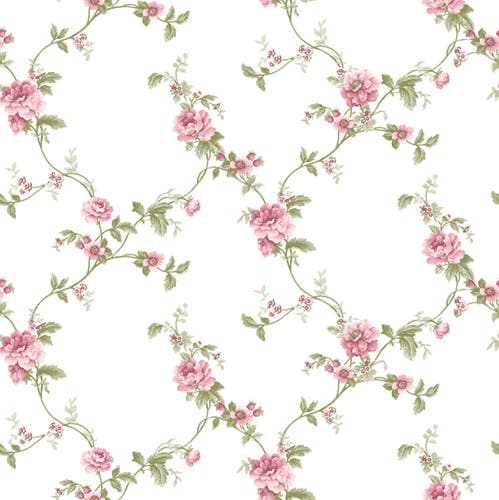 Carma - Blooming Garden