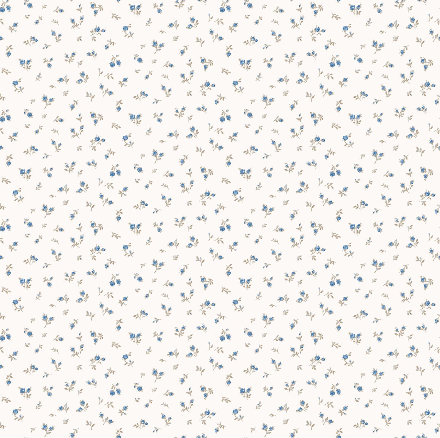 Carma - Blooming Garden