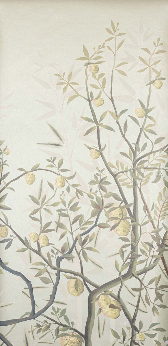 Manuel Canovas - La Voliere Laurier