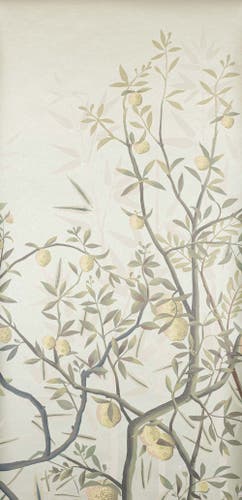 Manuel Canovas - La Voliere Laurier