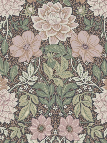Dahlia Garden Grand