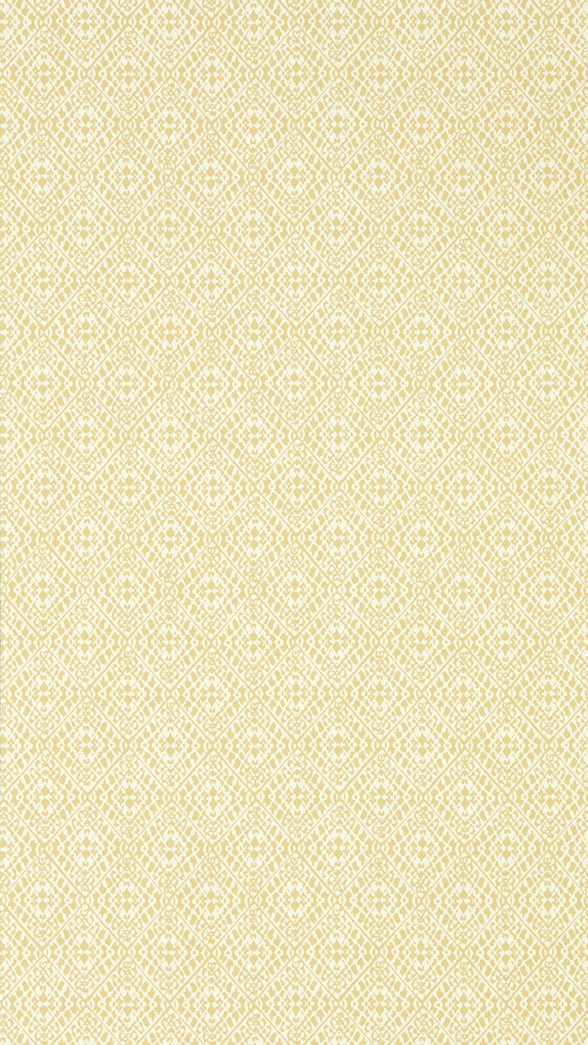 Sanderson - Pinjara Trellis Woad Littlemore Wallpapers