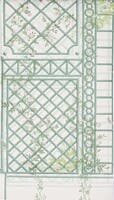 L'Orangerie Paon