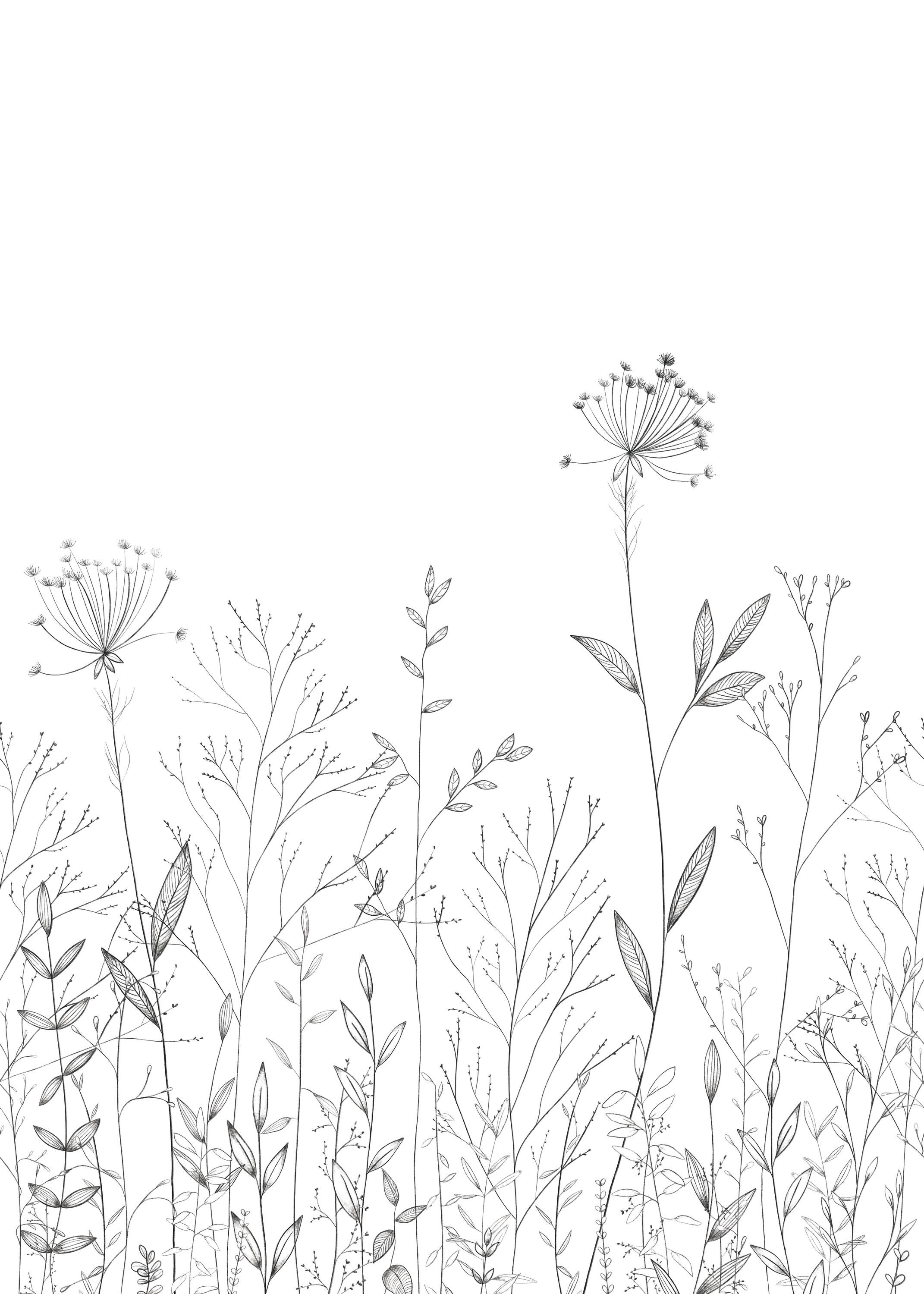 Caselio - Caselio - Field Line Noir Et Blanc 200X280