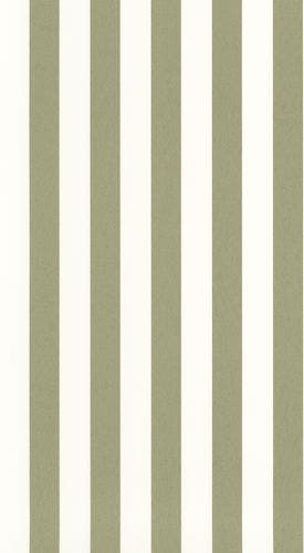 OLYMPE OLIVE LES RAYURES