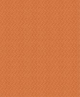 SO COLOR 4 PAOLO ORANGE SO COLOR 4