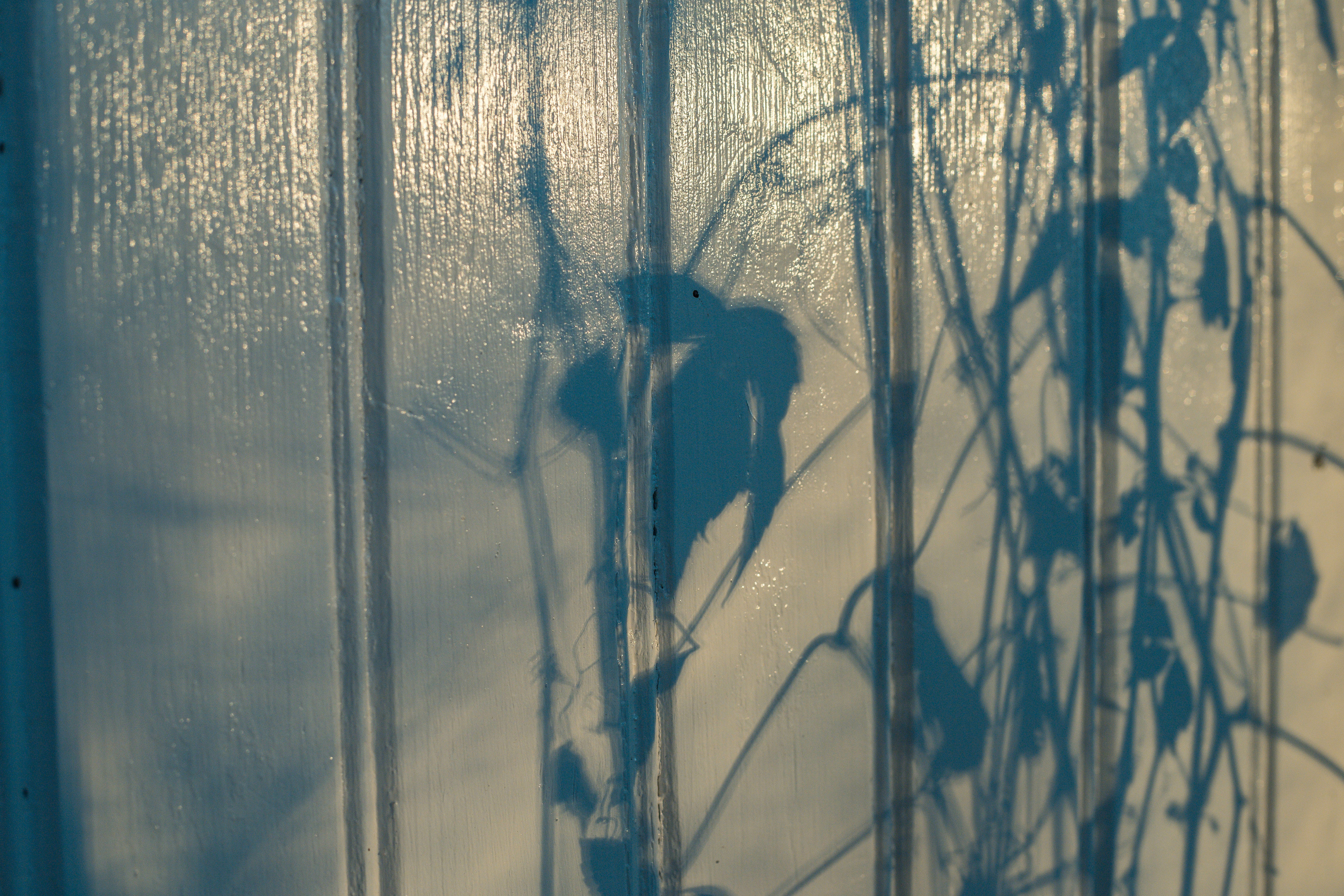 AdobeStock_229766528 (3).jpeg