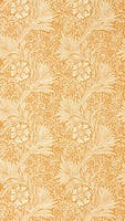 Marigold Orange Cornubia Wallpapers