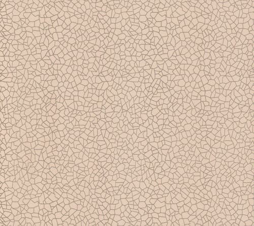 Carma - Kew, NW Rosemore