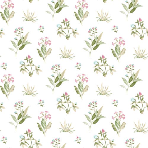 Carma - Blooming Garden