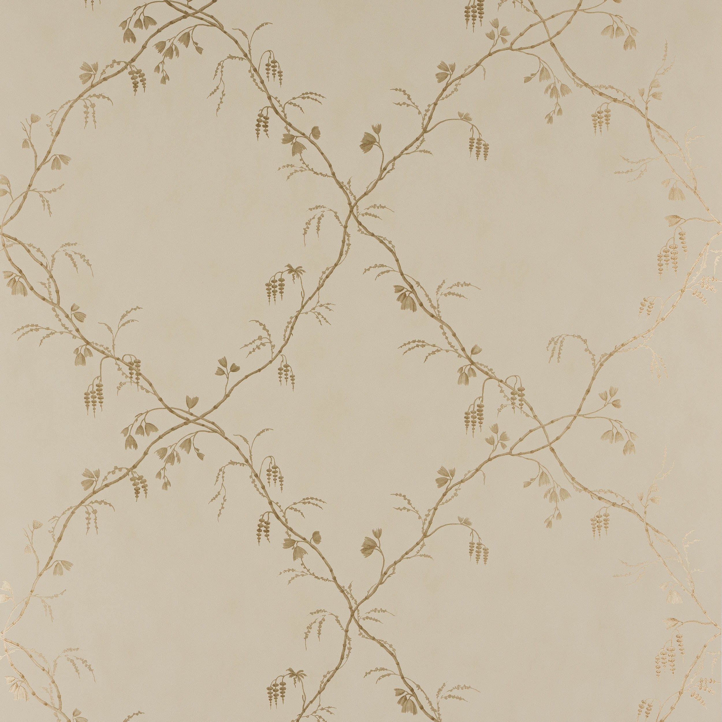 Colefax and Fowler - Roussillon Ivory