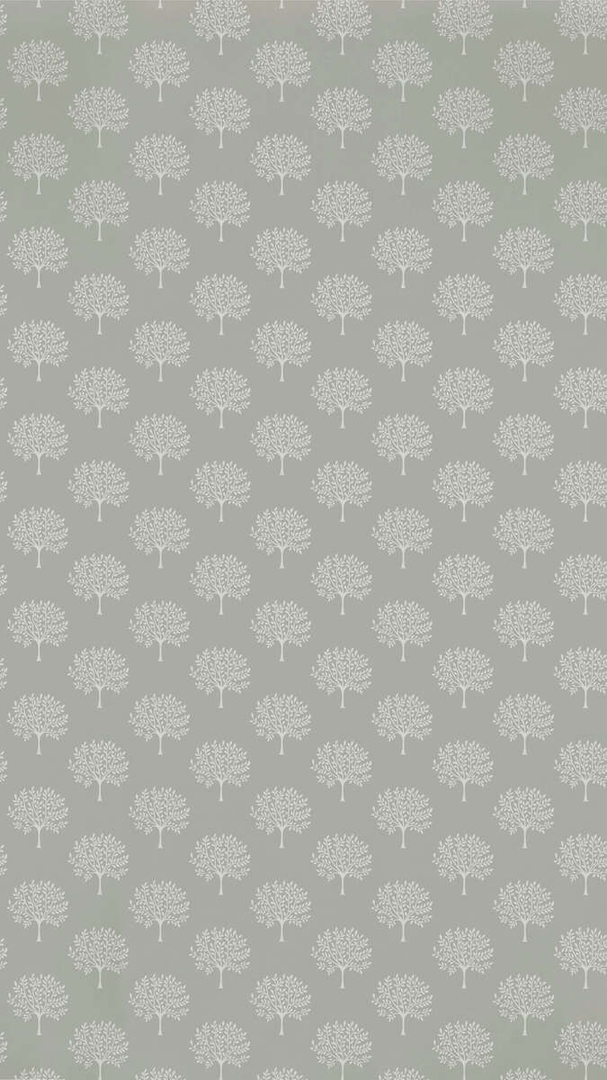 Marcham Tree Grey Birch Littlemore Wallpapers