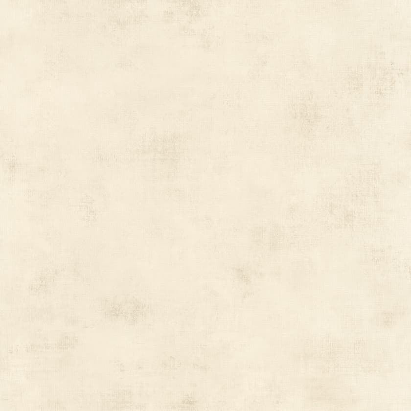 Caselio - Telas 2 Uni Beige Clair Telas 2