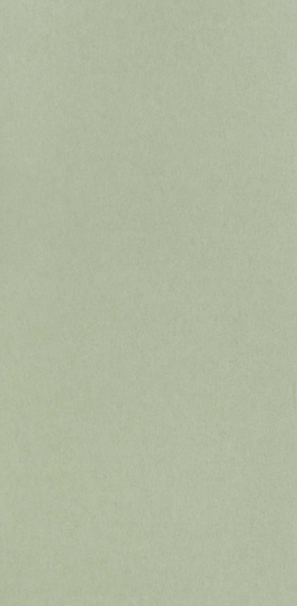 Osborne & Little - Chroma Chroma Celadon (Mp)