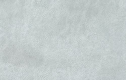 Osborne & Little - Mako Light Grey