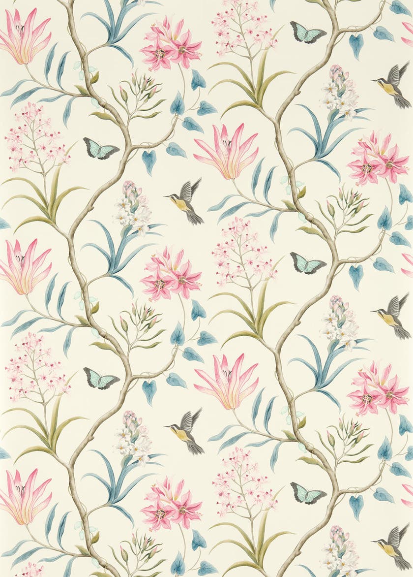 Clementine Dusky Pink Sanderson One Sixty Wallp