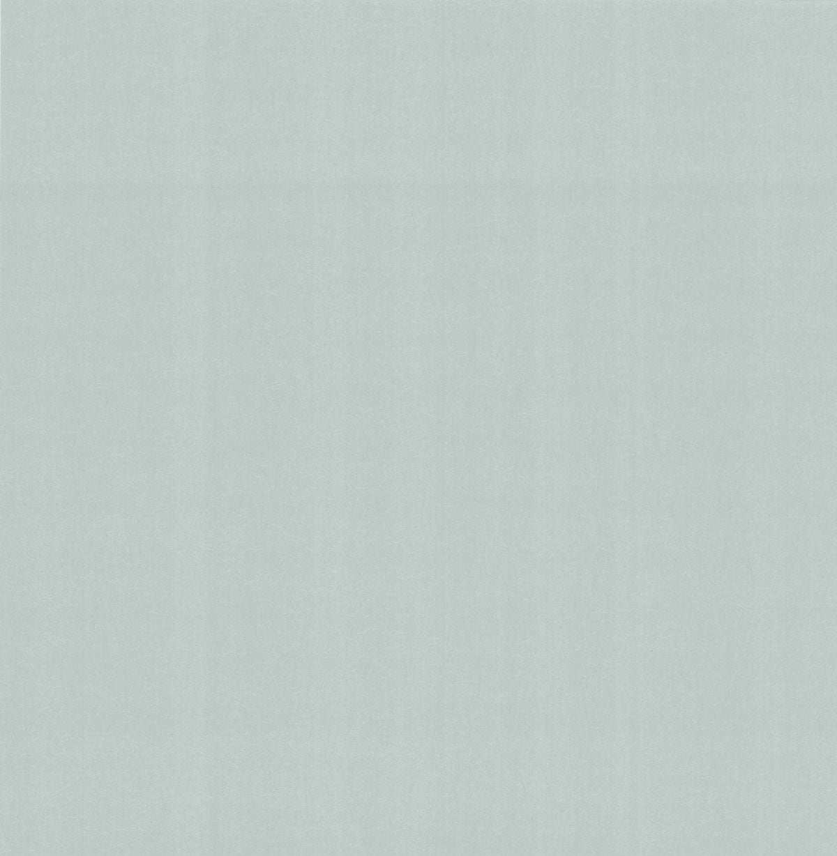 Carma - Carla NW Camellia