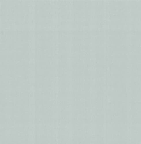 Carma - Carla NW Camellia