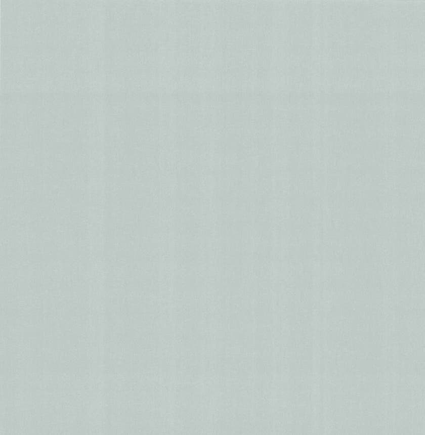 Carma - Carla NW Camellia