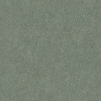 LEWIS KAKI SO COLOR 5