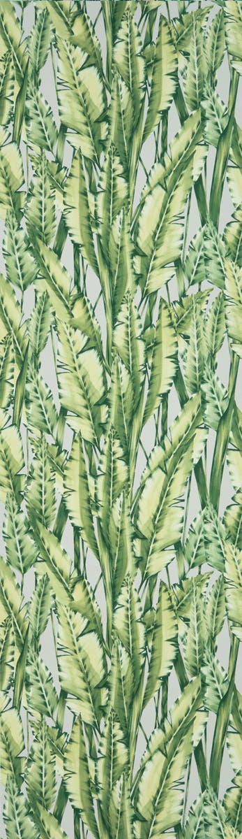 Osborne & Little - Tiger Leaf Folium Tiger Leaf Green