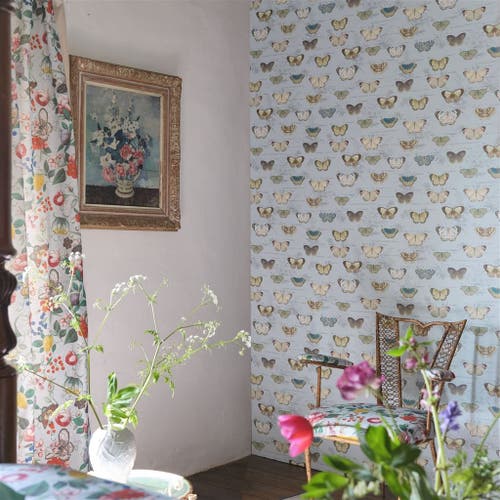 Butterfly Studies Picture Book Wallpapers I